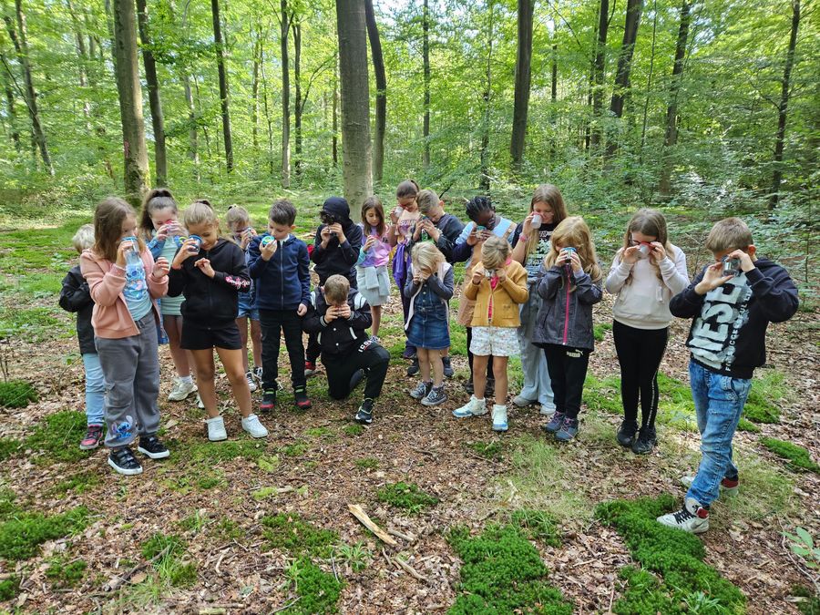 Animations pédagogiques PNHP